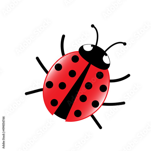 Obraz na płótnie Ladybug, vector illustration isolated on white background w salonie