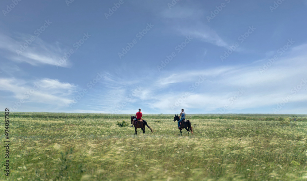 two people riding two horses in the field in the wild nature two people riding two horses in the field in the wild nature
