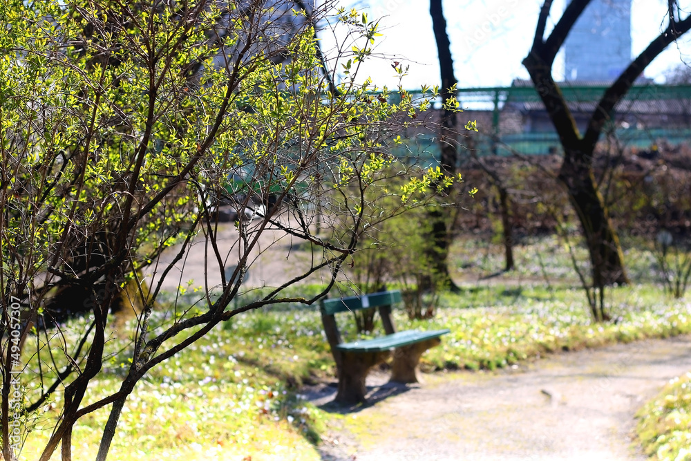 Green bench and colorful blossoms in the beautiful park. Beautiful early spring day in Zagreb, Croatia. Selective focus. Green bench and colorful blossoms in the beautiful park. Beautiful early spring day in Zagreb, Croatia. Selective focus.
