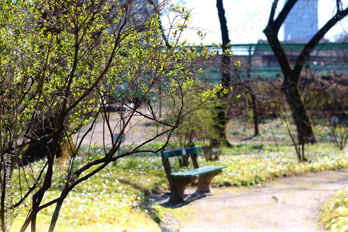 Green bench and colorful blossoms in the beautiful park. Beautiful early spring day in Zagreb, Croatia. Selective focus.