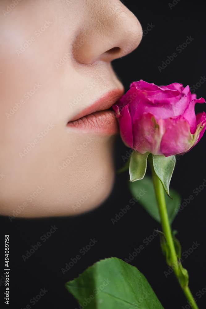 close up view of cropped female profile with pink rose neal lips isolated on black.