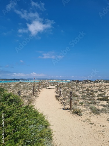 sand dunes and beach