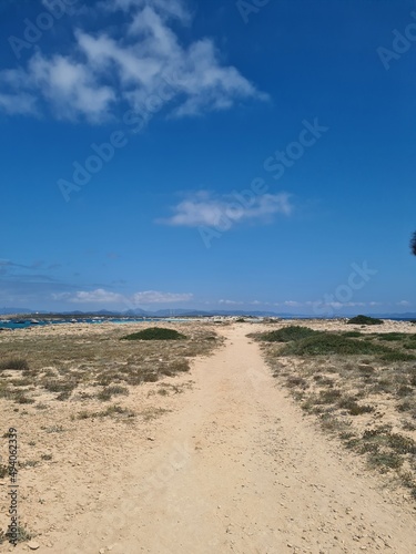 beach and sea