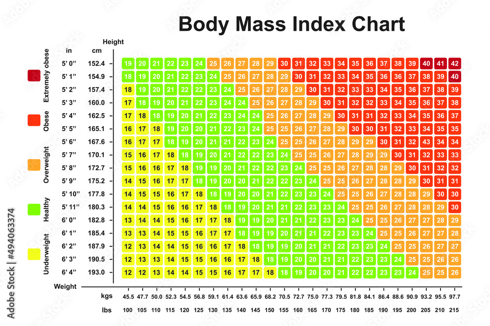 Body Mass Index (BMI) Chart. BMI Calculator To Checking Your Body Mass Index. Colorful Symbols. Vector Illustration. - obrazy, fototapety, plakaty 