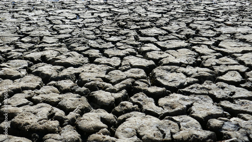 Φωτογραφία Cracked soil of the bank of a saline lake