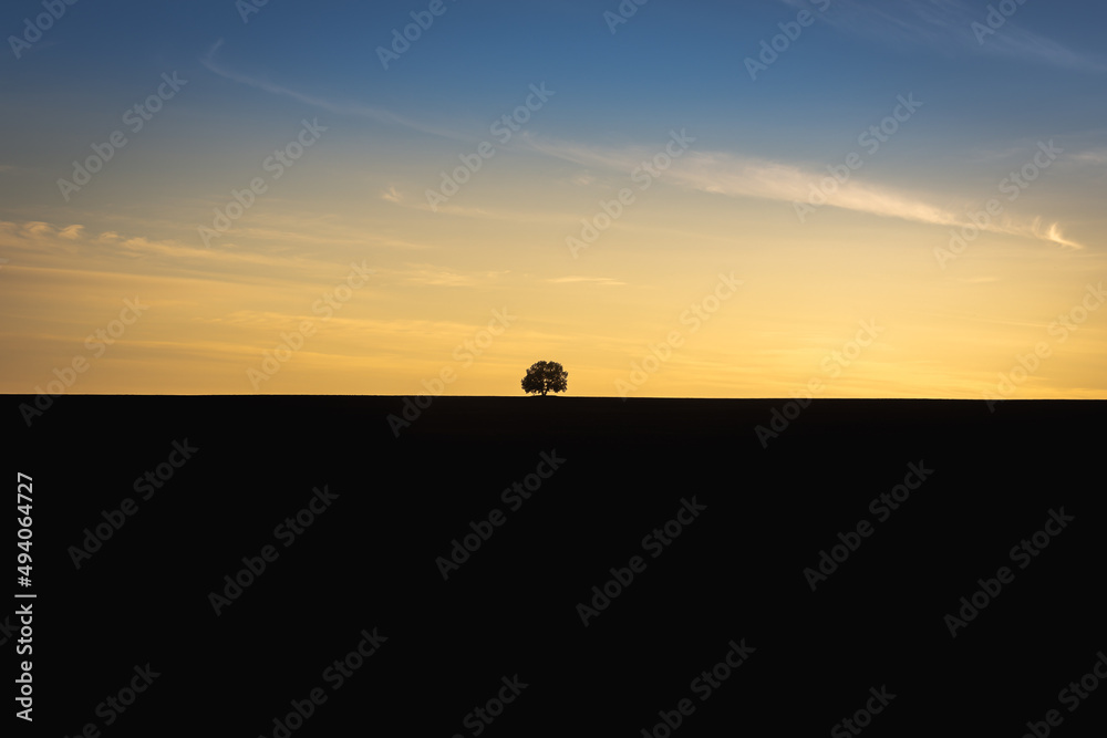 Sunset yellow with blue, in the distance a field and a tree silhouette.