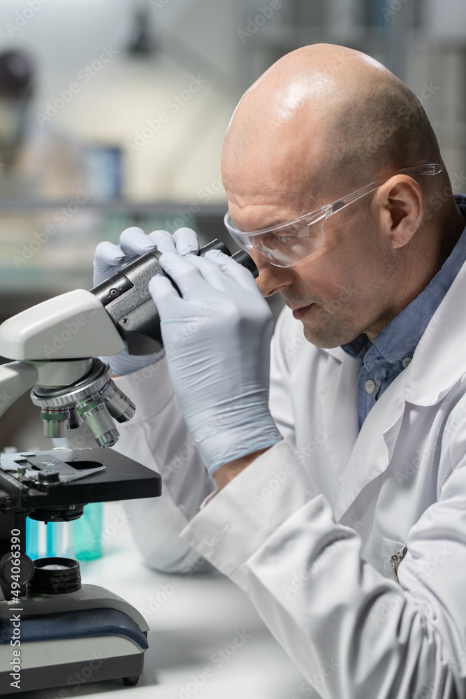 Side view of bald mature man in whitecoat, gloves and eyeglasses using microscope while studing new chemical substance in laboratory Side view of bald mature man in whitecoat, gloves and eyeglasses using microscope while studing new chemical substance in laboratory