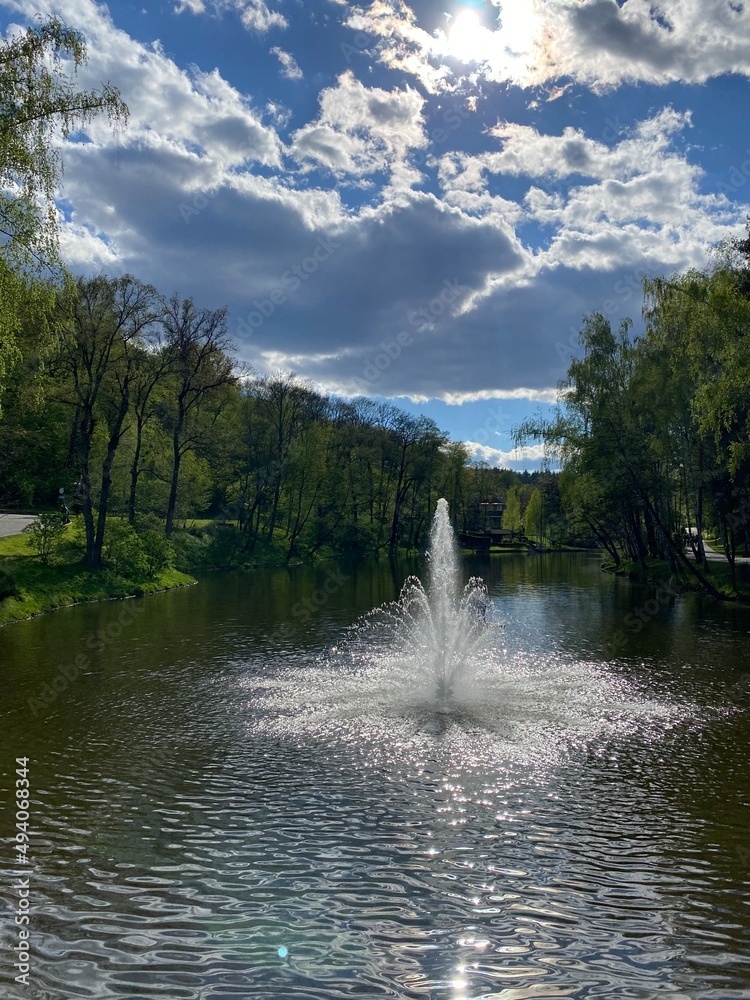 Naklejka premium fountain in the park