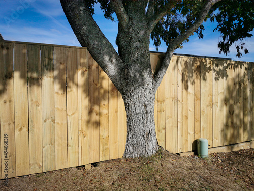 Fényképezés wooden fence built around tree