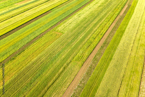 Aerial view of green agricultural fields in spring with fresh vegetation after seeding season on a warm sunny day
