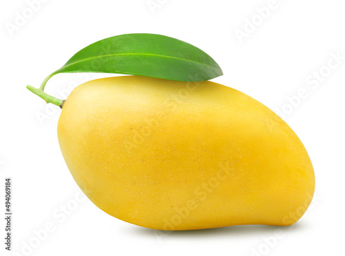 Mango isolated. One ripe yellow mango with a green leaf on a white background.