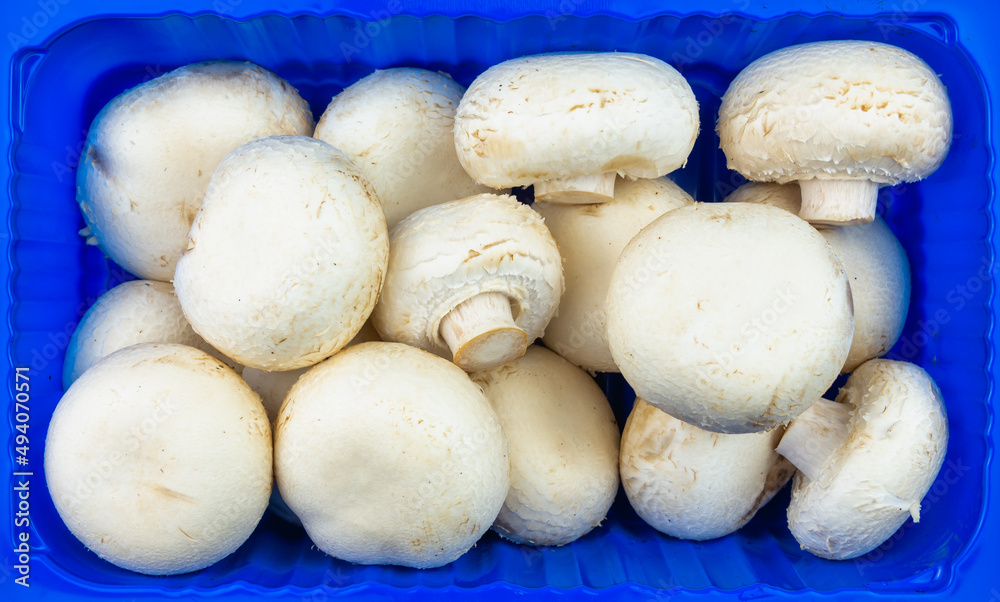 White champignon mushrooms from the store in a box. Vegan food. White champignon mushrooms from the store in a box. Vegan food.