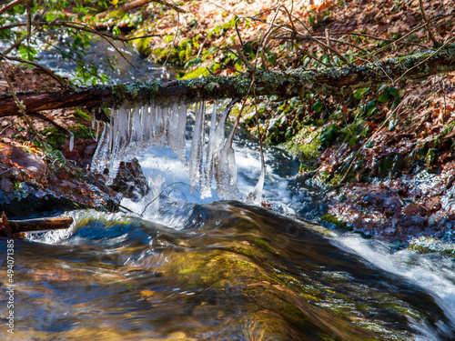 Spring comes melting the ice