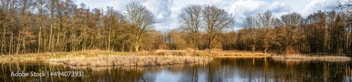 Panorama Teich am Tiergartenbach im Klosterforst Loccum