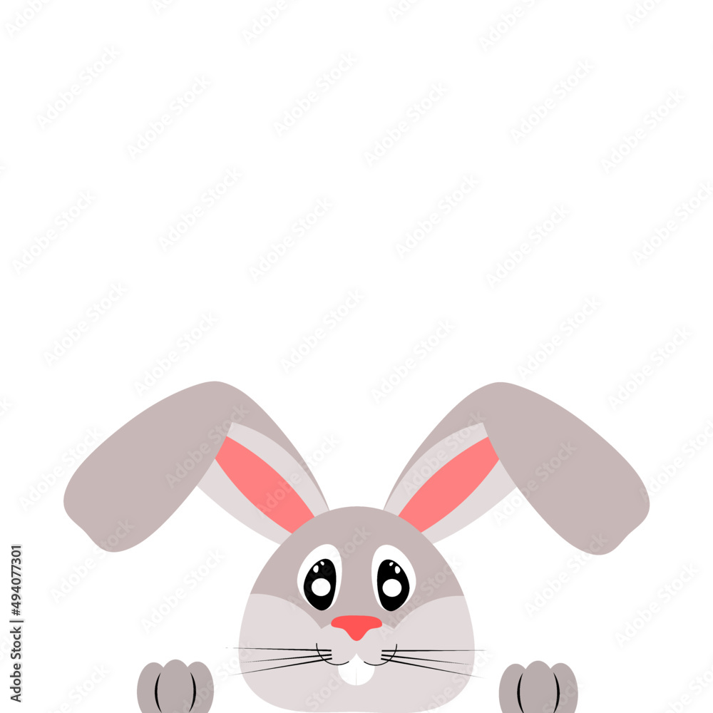 rabbit peeks on a white background rabbit peeks on a white background