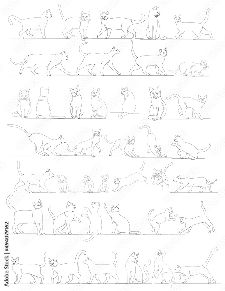 Obraz premium cats sketch, drawing by one continuous line vector, isolated