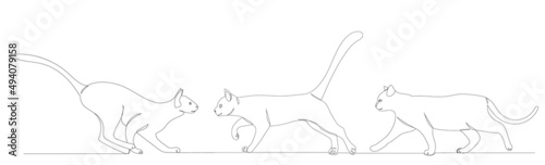 cats sketch  drawing by one continuous line vector