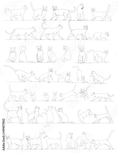 cats sketch, drawing by one continuous line vector, isolated