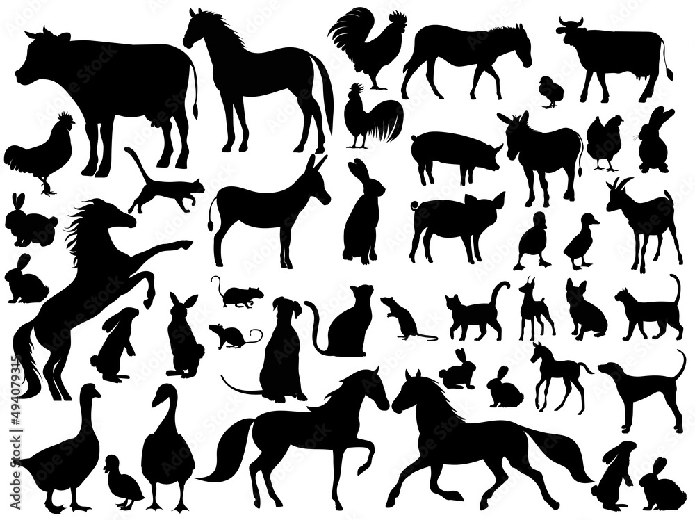 pets set black silhouette isolated vector