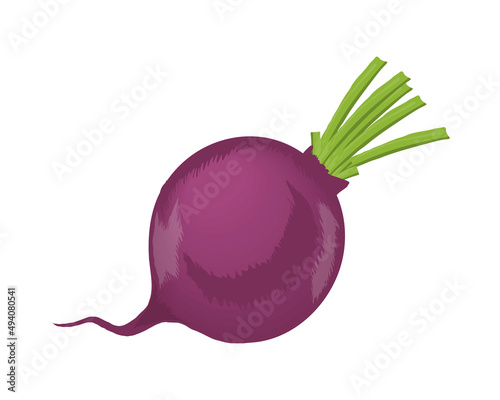 radish vegetable icon