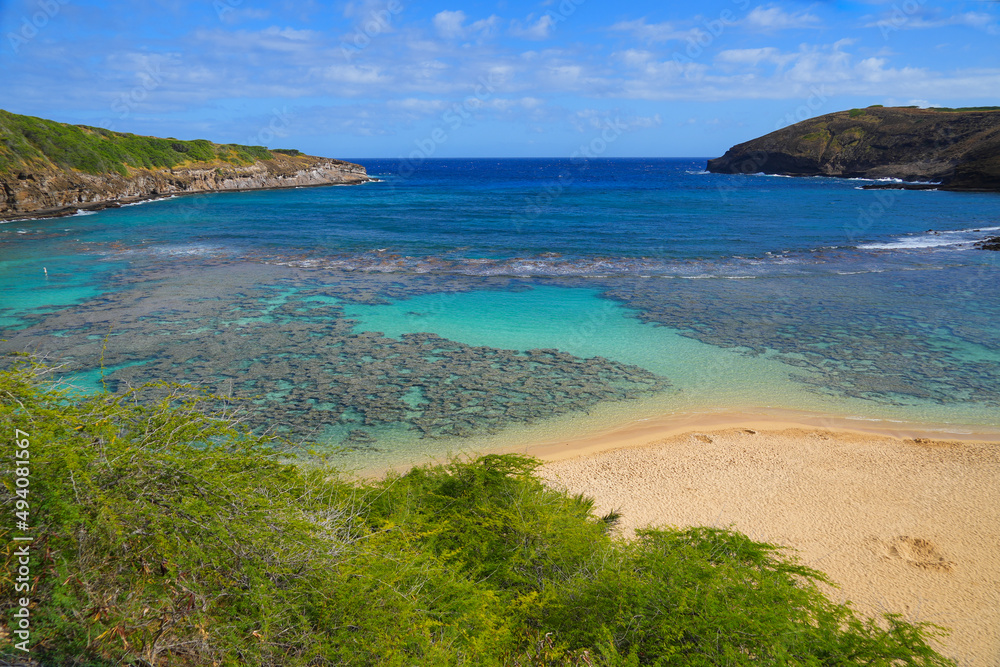 Coral reef near the round beach of the Hanauma Bay Nature Preserve on O'ahu island in Hawaii, United States