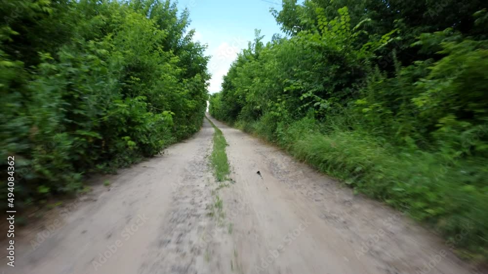 Dirt road between tall trees with green leaves on sunny summer day. Aerial drone view flight over wide dirt path among green trees and bushes. Nature wild backdrop. Natural plant background Dirt road between tall trees with green leaves on sunny summer day. Aerial drone view flight over wide dirt path among green trees and bushes. Nature wild backdrop. Natural plant background