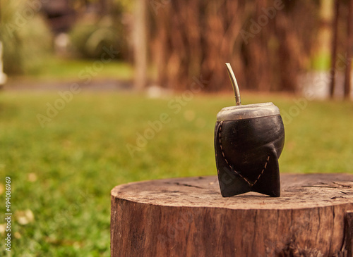 calabash yerba mate on a cut tree trunk with blurred nature in the background. Traditional argentinian hot beverage. Relaxing time. Copy space photo