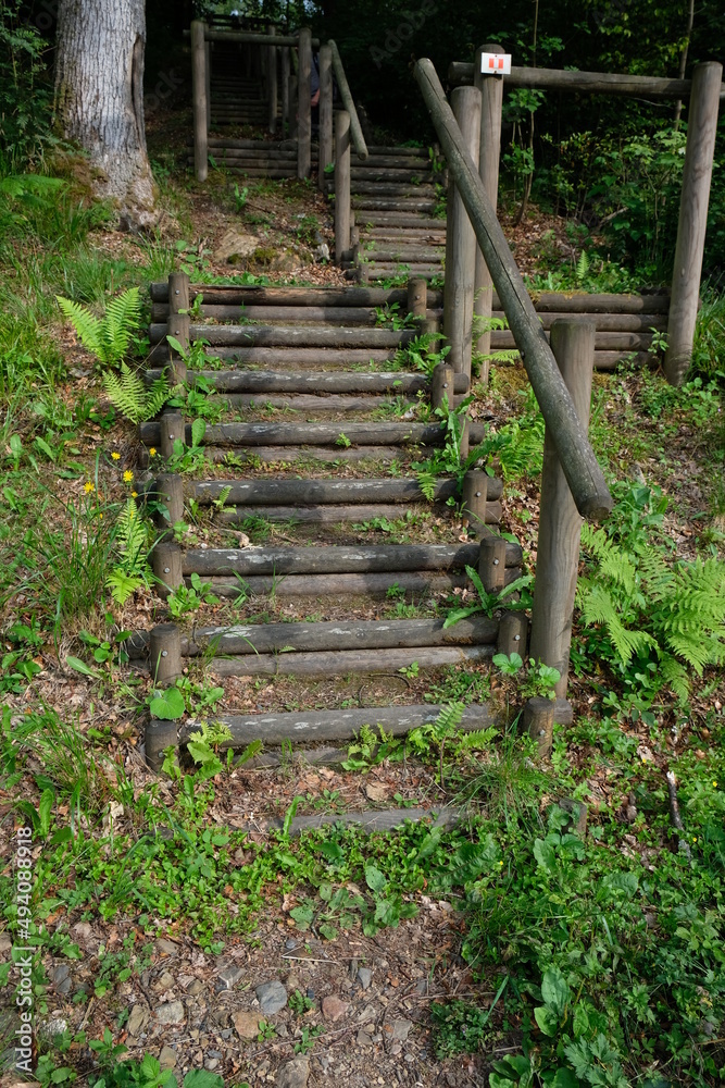 FU 2020-07-25 Belgien hin 353 Im Wald ist eine Treppe aus Holz