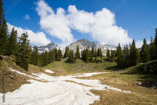 Melting snow during spring in the mountains photo