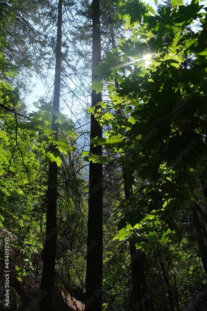 Fototapeta premium Mist trail hiking to vernal fall