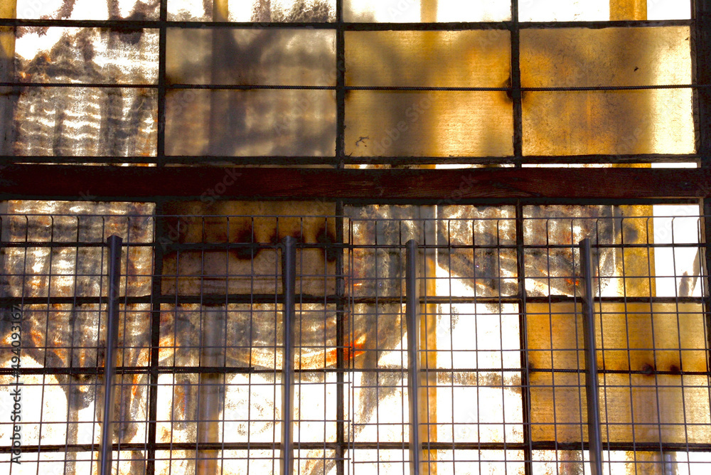 reflection in the glass reflection in the glass