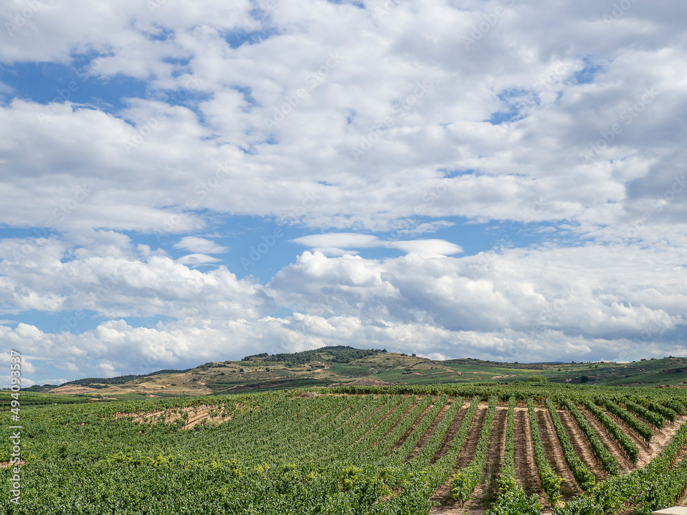 Vistas del paisaje de naturaleza con colores azul, verde blanco, con viñas sembradas en la tierra, campos y cielo con nubes, verano de 2020.