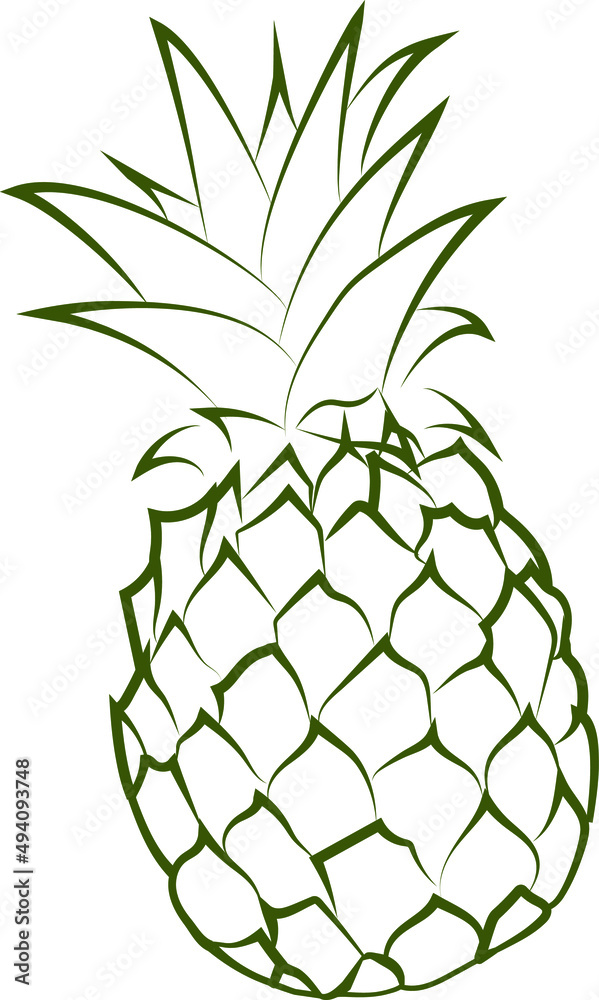 pineapple illustration pineapple illustration
