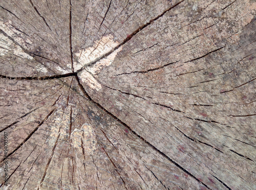 Altes Holz mit Rissen und Patina.