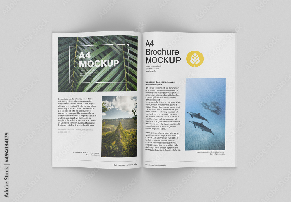 Matte Magazine Mockup. Top View Stock Template Adobe Stock