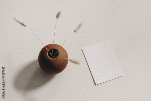 Modern summer, fall stationery still life. Lagurus ovatus grassy foliage in brown ball vase, long shadows. Blank greeting card mock up scene. Beige table background in sunlight. Flat lay, top view. photo