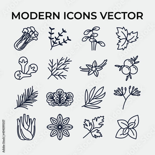Spices, condiments and herbs set icon symbol template for graphic and web design collection logo vector illustration