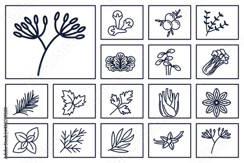 Spices, condiments and herbs set icon symbol template for graphic and web design collection logo vector illustration