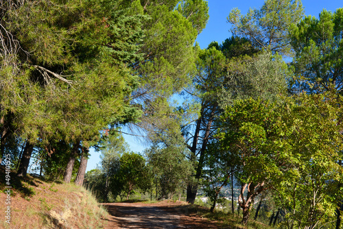 NATIONALPARK SETE MONTES in Tomar  Portugal