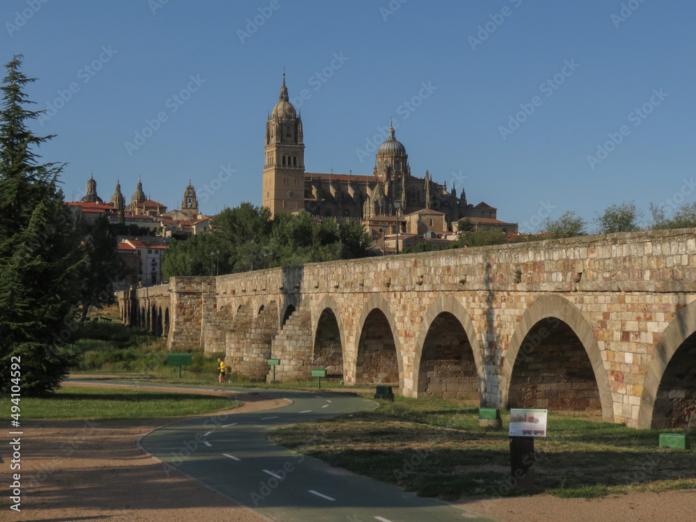 cathedral of Salamanca
