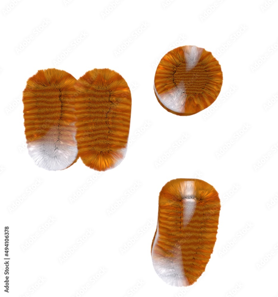 Orange Tabby Cat Themed Font Quotation Mark and Comma and Period Orange Tabby Cat Themed Font Quotation Mark and Comma and Period
