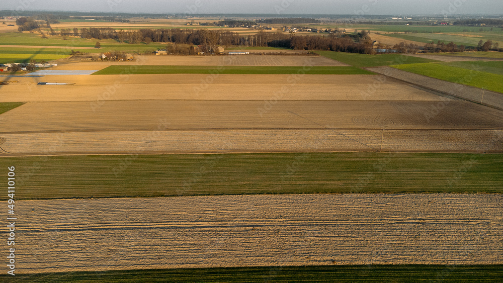 Aerial view of green agriculture fields in spring.