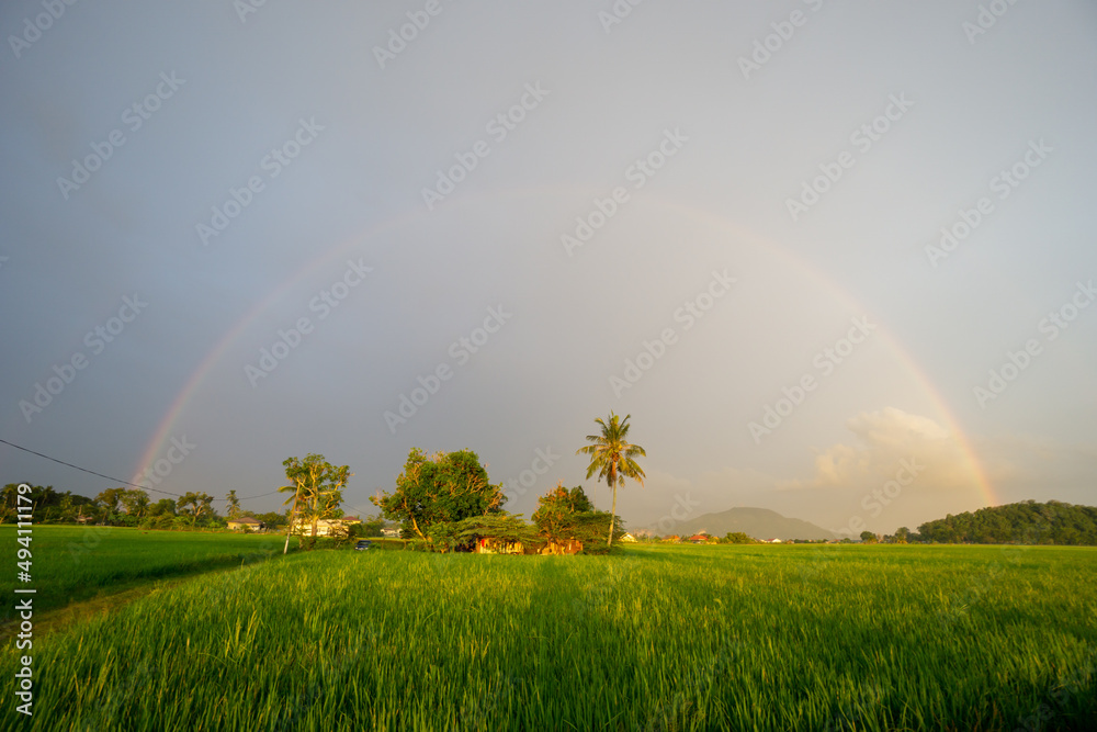 Fototapeta premium Rainbow over agriculture field at Malays kampung house