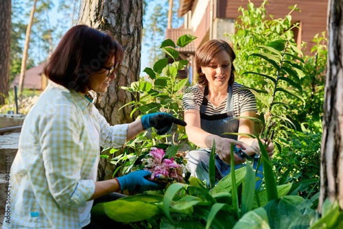 Two women girlfriends in the garden caring for plants
