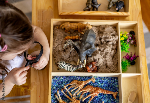 Montessori material. Toddler girl explores wild animals through play.