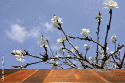 wood top table with blosom background. Nobody. Product display.