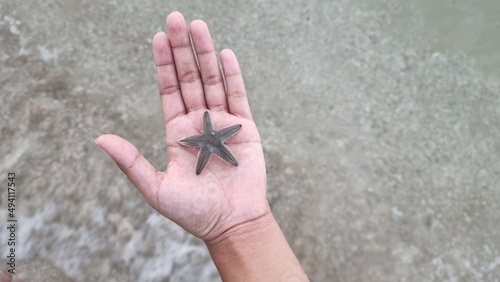 a starfish in hand at a beach in Sonkhla Thailand
