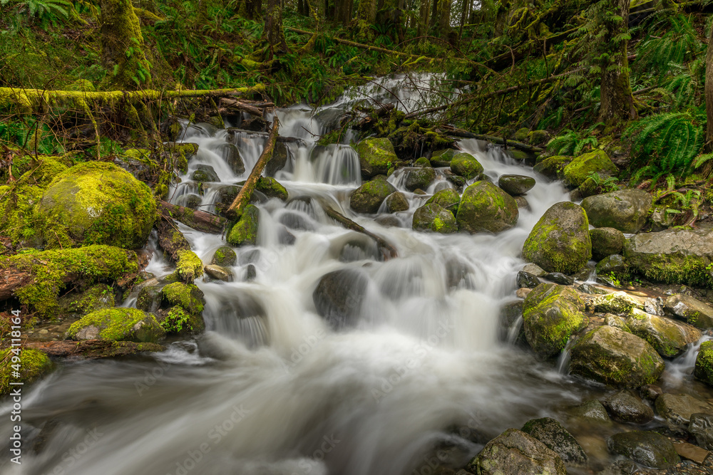 A waterfall in the North Cascades.
