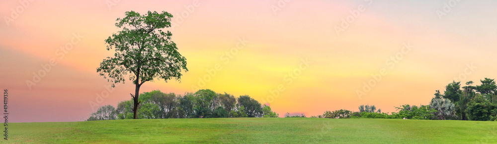 Spring Scenery - Green Meadow evening sky and sunset, banner Spring Scenery - Green Meadow evening sky and sunset, banner