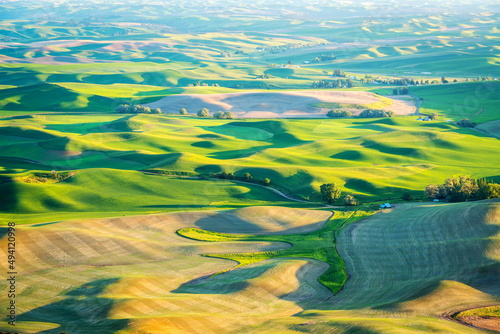 Palouse Rolling Hills in Spring 